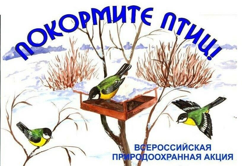 Покормите птиц зимой.