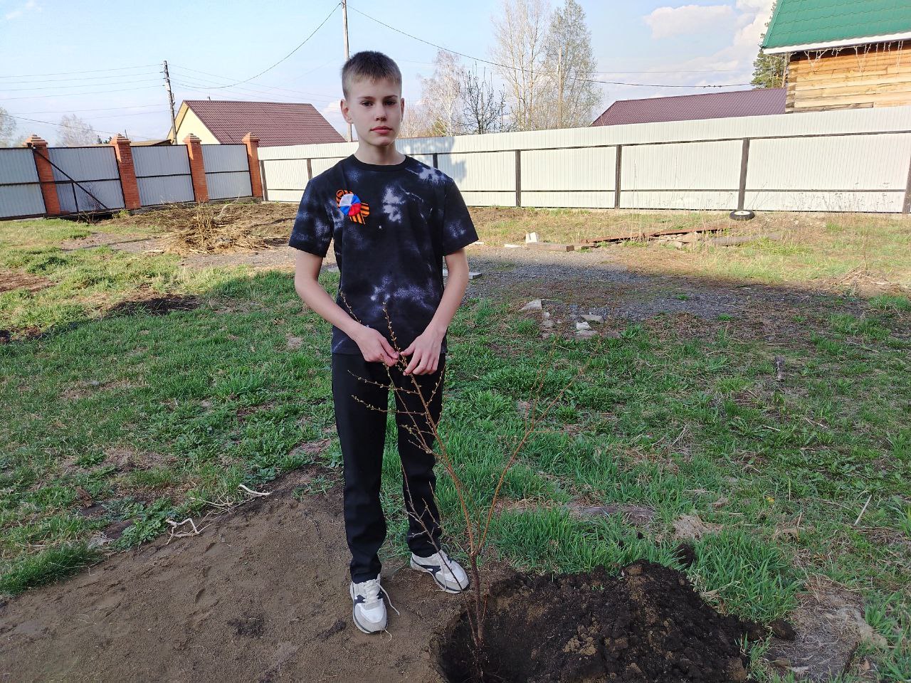 Посадка деревца.