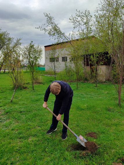 «Сад памяти».